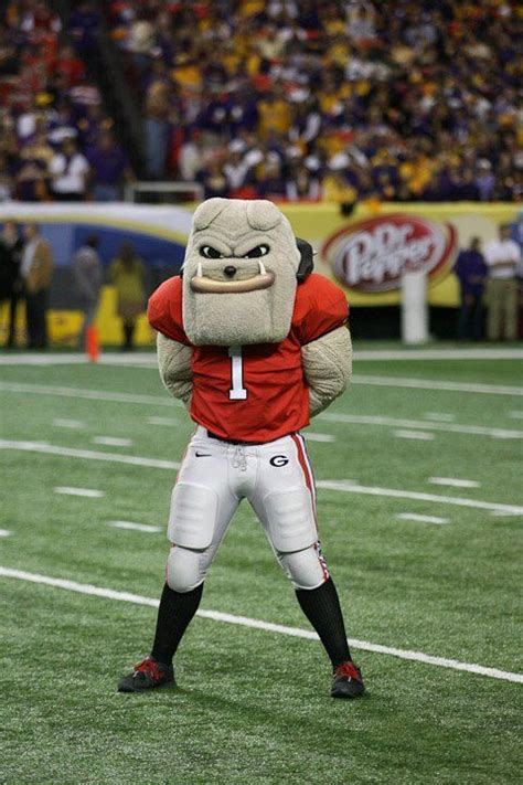 Georgia bulldogs football mascots hairy dawg